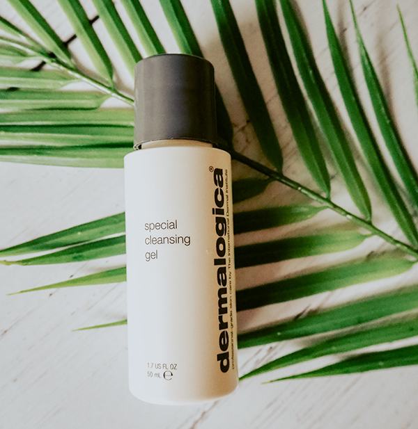 Dermalogica special deals gel cleanser