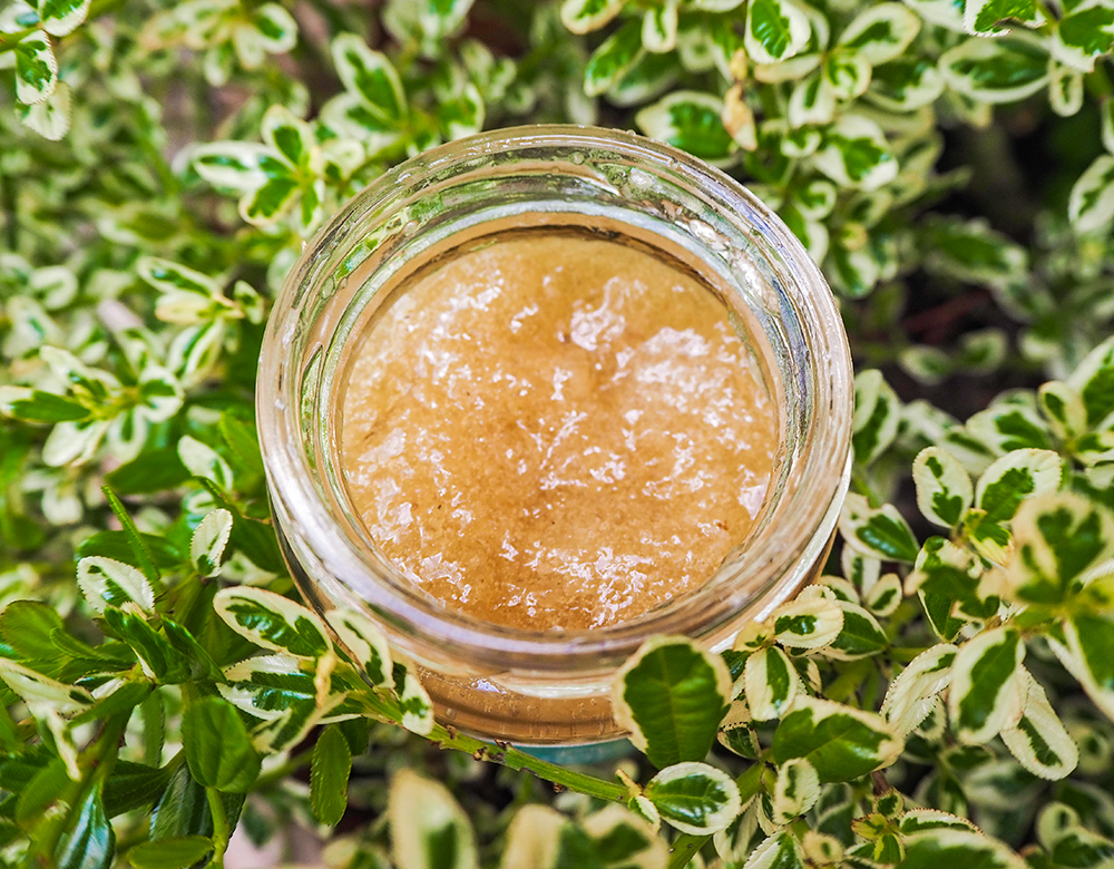 Miracle Moss honey infusion image