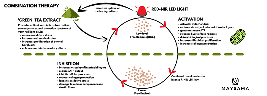 Green tea and LED diagram